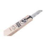 SG Sunny Tonny ICON | English Willow Cricket Bat - Image 3