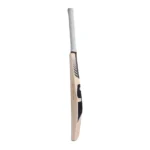 SG Sunny Tonny ICON | English Willow Cricket Bat - Image 5