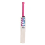 SS TON Slasher | English Willow Cricket Bat