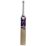 SS SKY Blaster| English Willow Cricket Bat