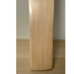 SG X GT 4.0 | English Willow Cricket Bat - Image 5