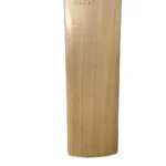 SG X GT 4.0 | English Willow Cricket Bat - Image 4