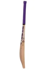 SS Blast | English Willow Cricket Bat - Image 4